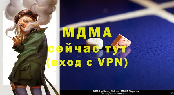 индика Абаза