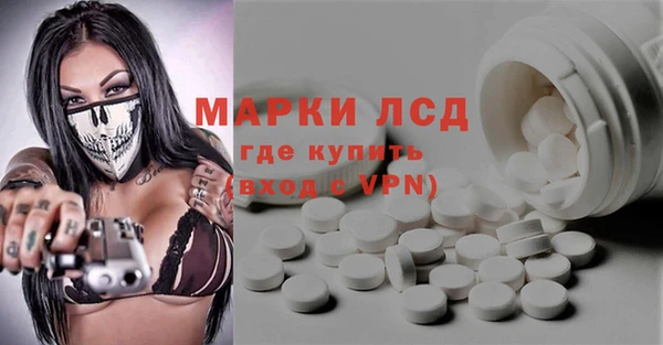индика Абаза