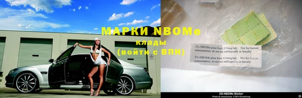индика Абаза