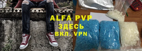 индика Абаза