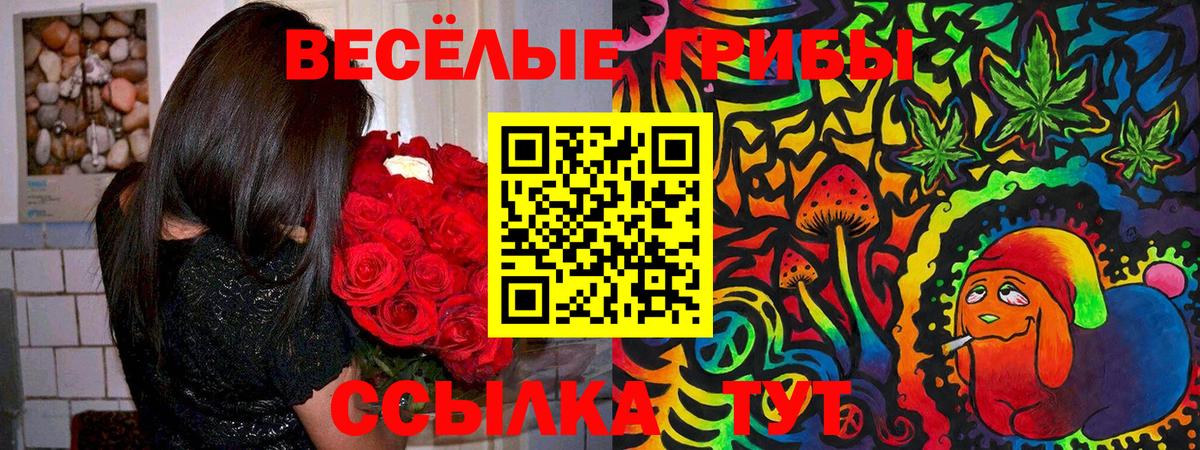 Псилоцибиновые грибы GOLDEN TEACHER Нягань