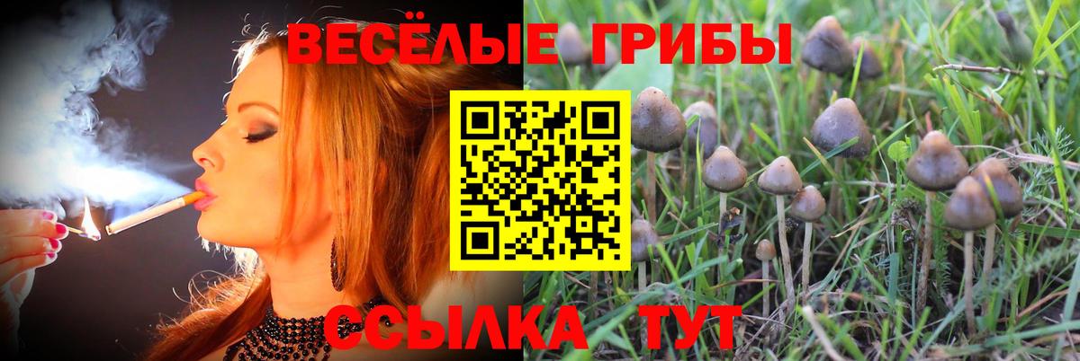 Галлюциногенные грибы Cubensis  Вход с VPN  что такое   Нягань  Галлюциногенные грибы MAGIC MUSHROOMS 